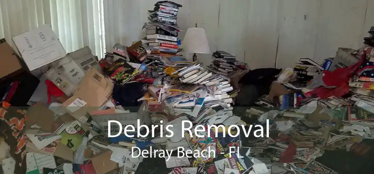 Debris Removal Delray Beach - FL