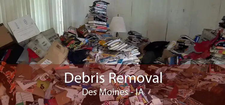 Debris Removal Des Moines - IA