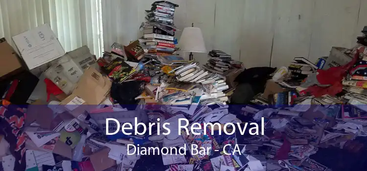 Debris Removal Diamond Bar - CA