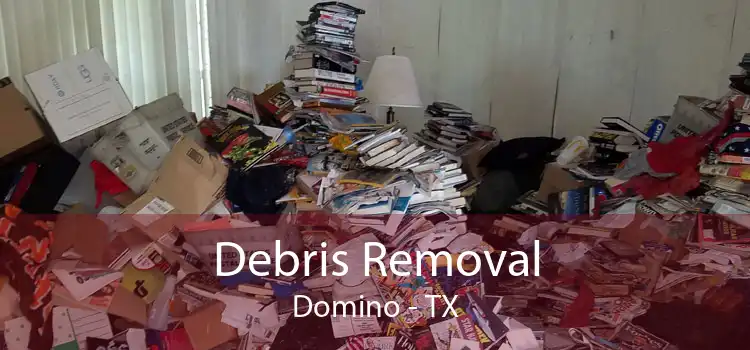 Debris Removal Domino - TX