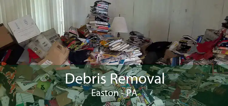 Debris Removal Easton - PA