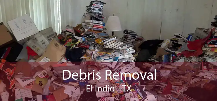 Debris Removal El Indio - TX