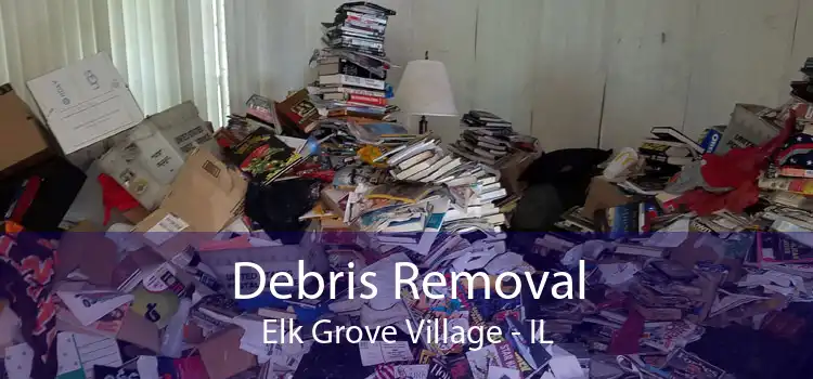 Debris Removal Elk Grove Village - IL