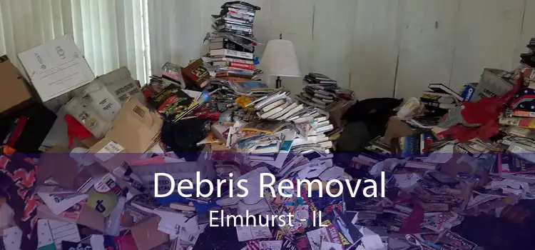 Debris Removal Elmhurst - IL