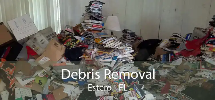 Debris Removal Estero - FL