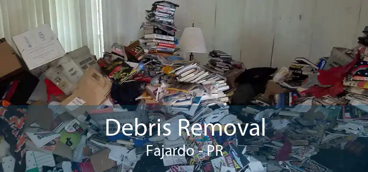 Debris Removal Fajardo - PR