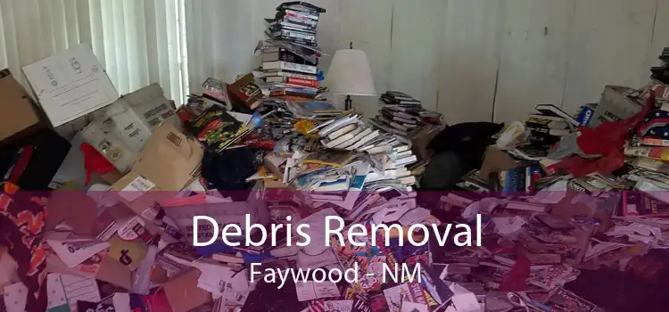 Debris Removal Faywood - NM