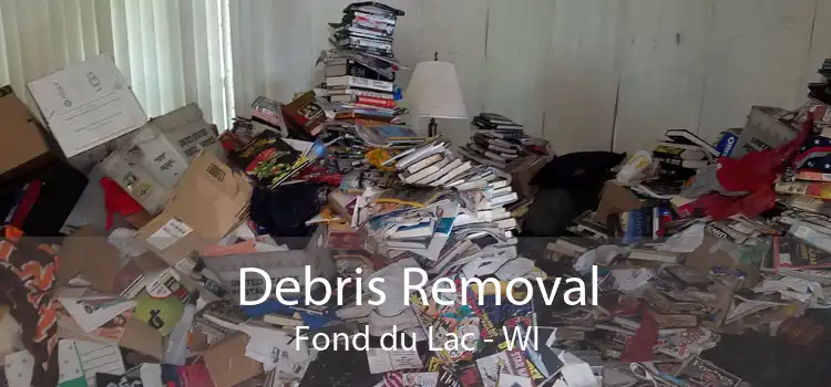 Debris Removal Fond du Lac - WI