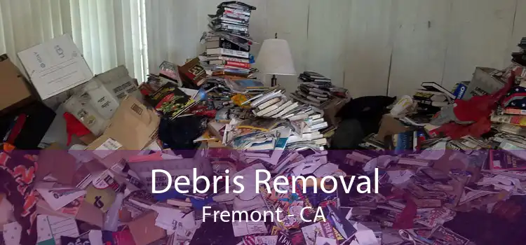 Debris Removal Fremont - CA