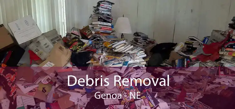 Debris Removal Genoa - NE