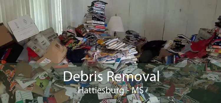Debris Removal Hattiesburg - MS