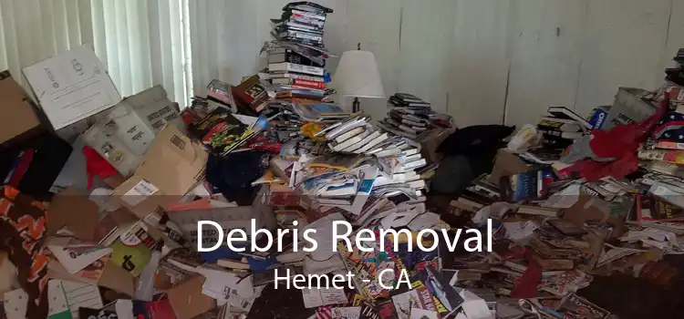 Debris Removal Hemet - CA