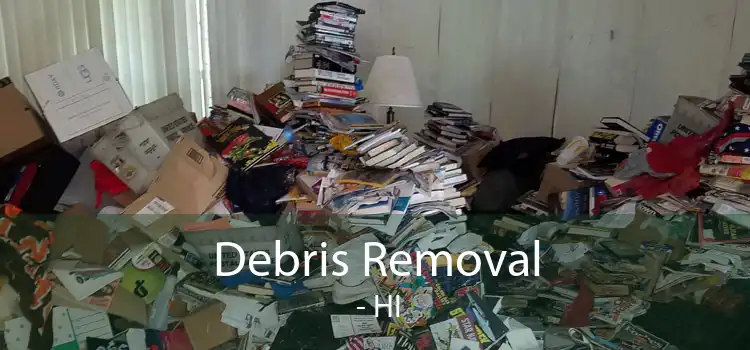 Debris Removal  - HI