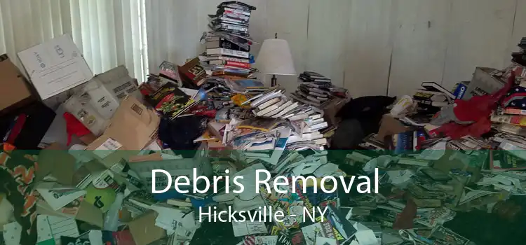 Debris Removal Hicksville - NY