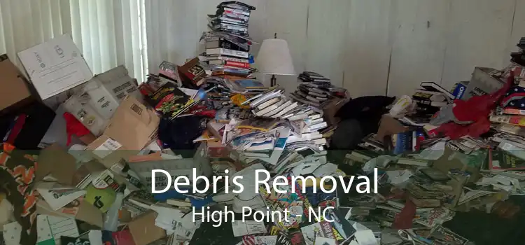 Debris Removal High Point - NC