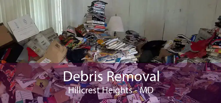 Debris Removal Hillcrest Heights - MD