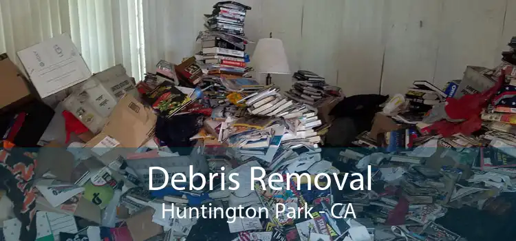 Debris Removal Huntington Park - CA