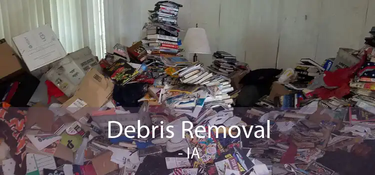 Debris Removal  - IA