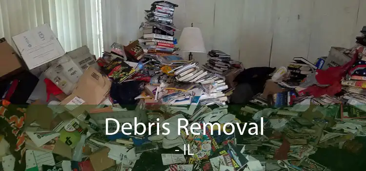 Debris Removal  - IL