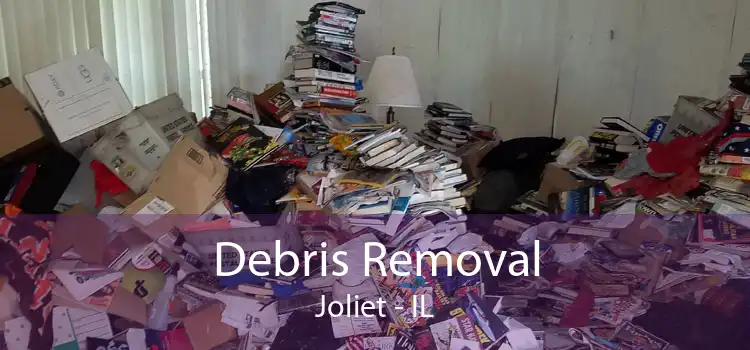 Debris Removal Joliet - IL