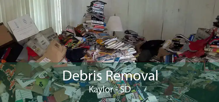 Debris Removal Kaylor - SD