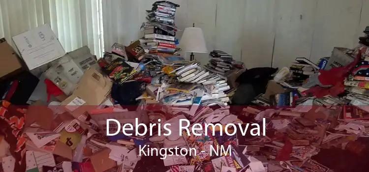 Debris Removal Kingston - NM