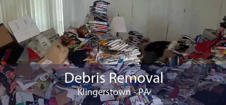 Debris Removal Klingerstown - PA