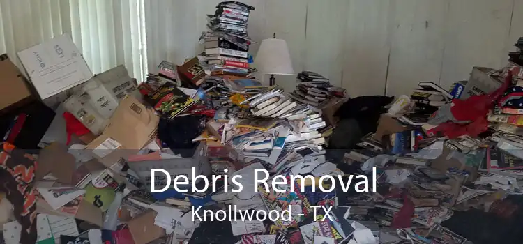 Debris Removal Knollwood - TX