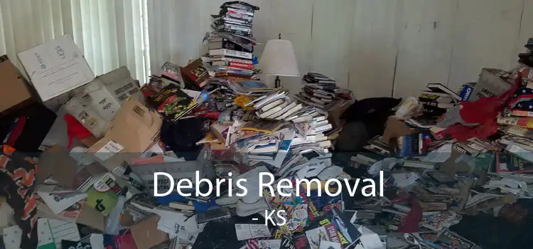 Debris Removal  - KS