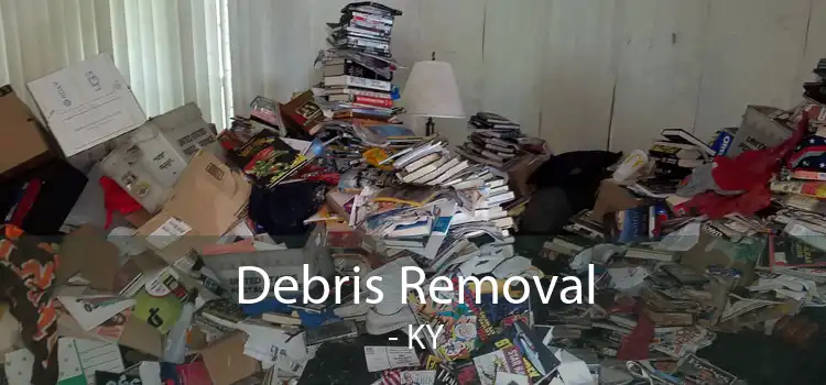 Debris Removal  - KY