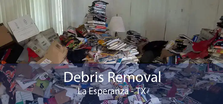 Debris Removal La Esperanza - TX