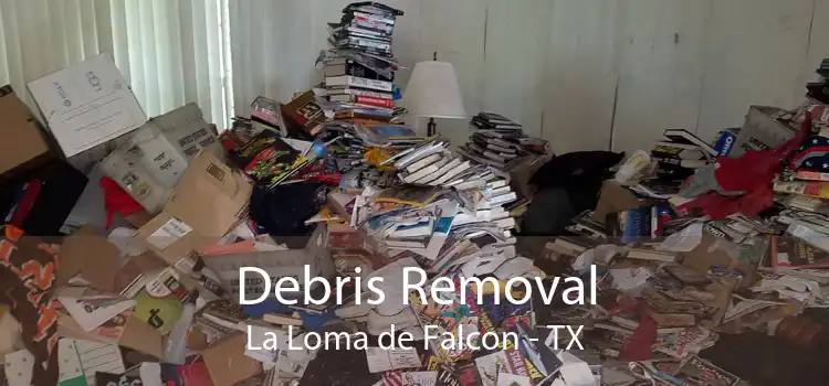 Debris Removal La Loma de Falcon - TX
