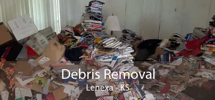 Debris Removal Lenexa - KS