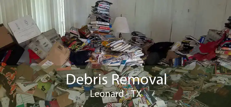Debris Removal Leonard - TX