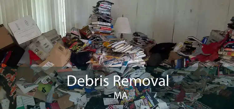 Debris Removal  - MA