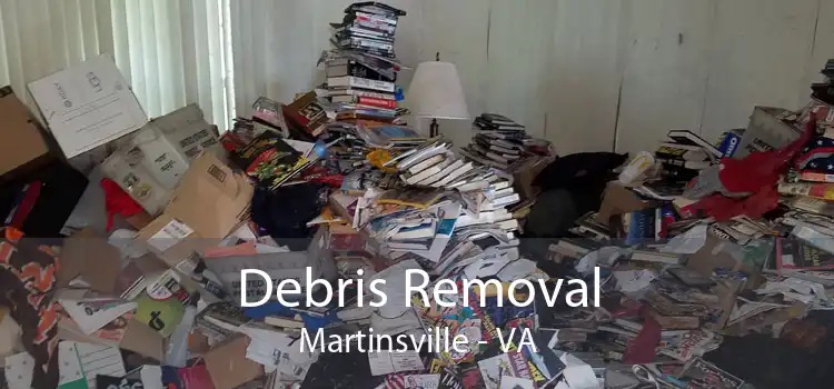 Debris Removal Martinsville - VA