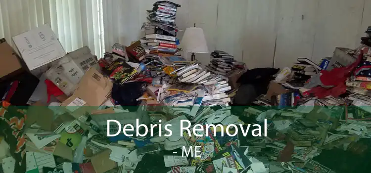 Debris Removal  - ME