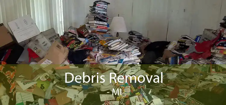 Debris Removal  - MI