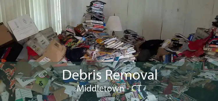 Debris Removal Middletown - CT