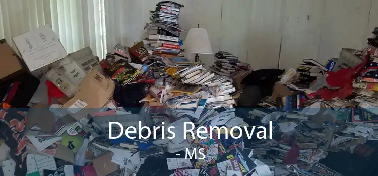 Debris Removal  - MS
