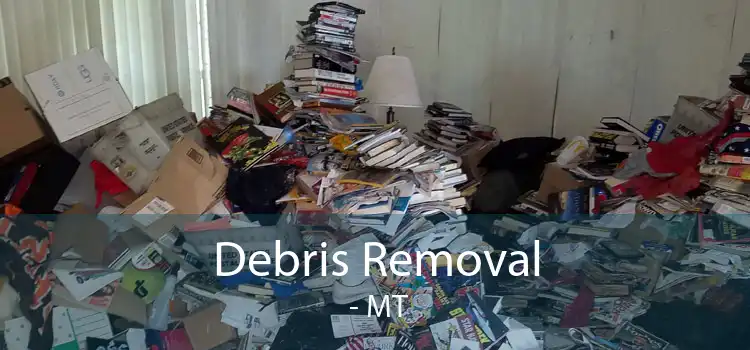 Debris Removal  - MT
