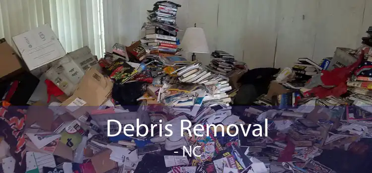 Debris Removal  - NC