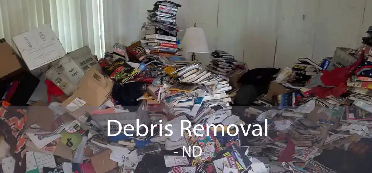 Debris Removal  - ND