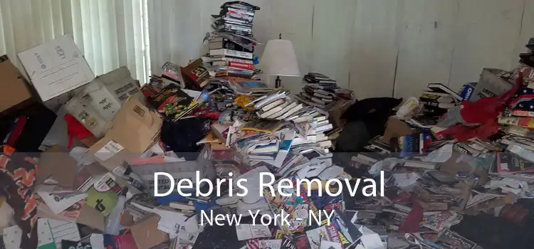 Debris Removal New York - NY