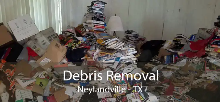 Debris Removal Neylandville - TX