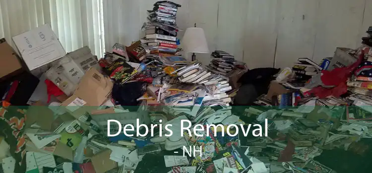 Debris Removal  - NH