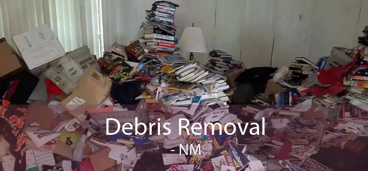 Debris Removal  - NM