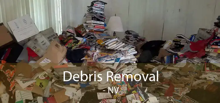 Debris Removal  - NV
