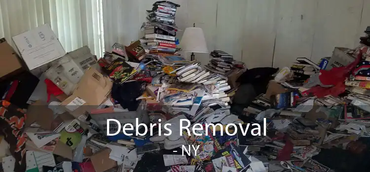 Debris Removal  - NY