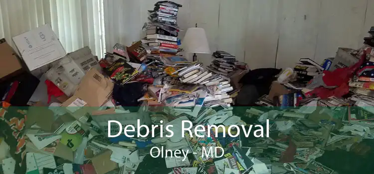 Debris Removal Olney - MD